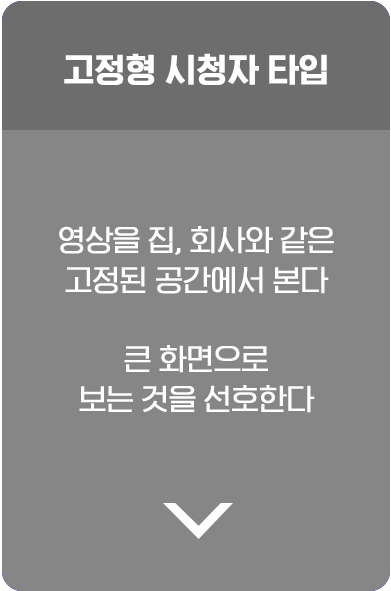 고정형 시청자 타입. 영상을 집, 회사와 같은 고정된 공간에서 본다. 큰 화면으로 보는 것을 선호한다